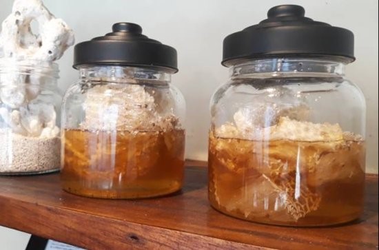  Honey And Garlic Hodes Townhomes Steamboat Springs CO